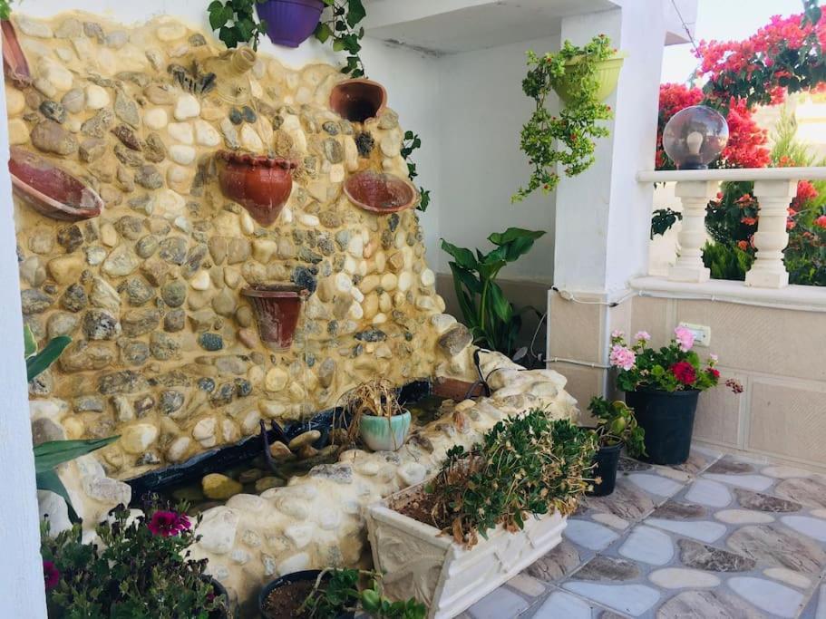 Appartement العُمري Umm Qays